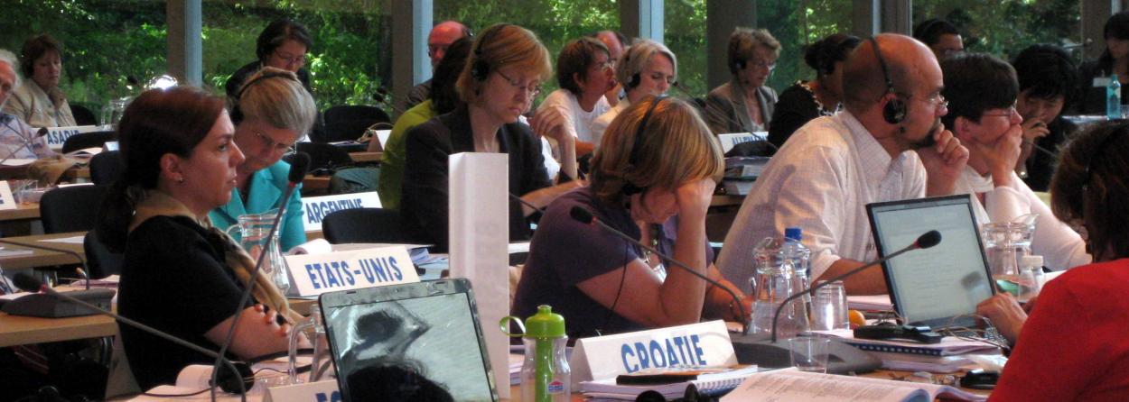 Adoption Commission Delegates